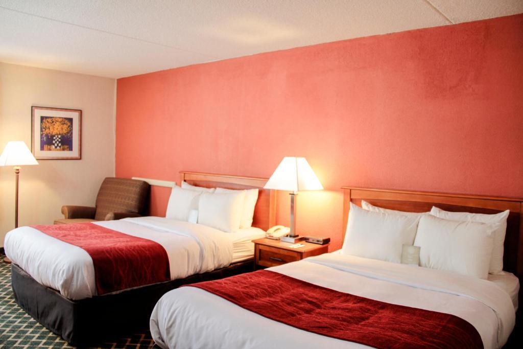 Comfort Inn & Suites Airport Syracuse Bilik gambar