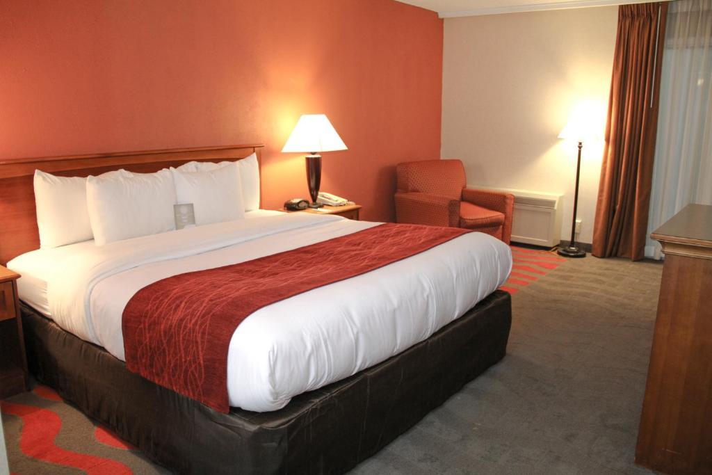 Comfort Inn & Suites Airport Syracuse Bilik gambar